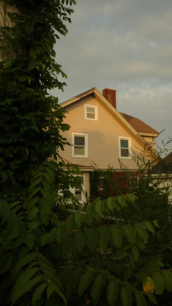 Golden Hour Suburban House Among Lush Greenery Phone Wallpaper