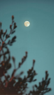 Cancer Zodiac Moon Aesthetic Spiritual Astrology Phone Wallpaper