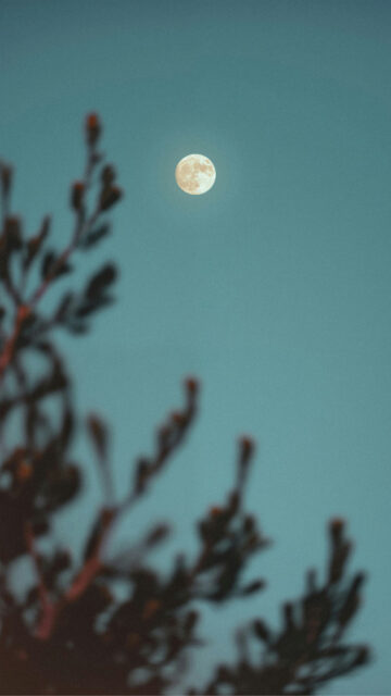 Cancer Zodiac Moon Aesthetic Spiritual Astrology Phone Wallpaper