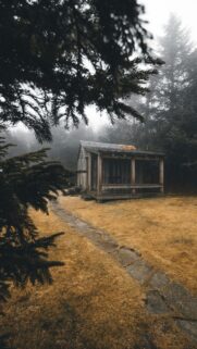 Rustic Cabin in Misty Forest Clearing Mobile Phone Wallpaper