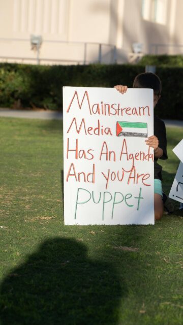 Protest Sign Featuring Palestine Flag and Social Commentary Mobile Wallpaper