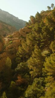 Stunning Mountain Cliff Walkway Nature Mobile Phone Wallpaper