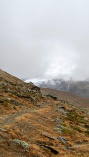 Rugged Mountain Alpine Trail with Distant Glaciers Mobile Wallpaper