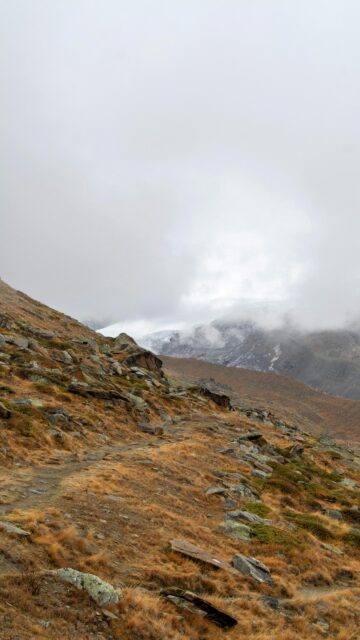 Rugged Mountain Alpine Trail with Distant Glaciers Mobile Wallpaper