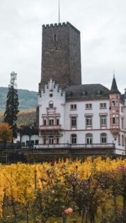 Autumnal Castle Tower in Vineyard Landscape Mobile Wallpaper