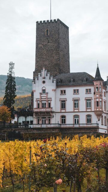 Autumnal Castle Tower in Vineyard Landscape Mobile Wallpaper