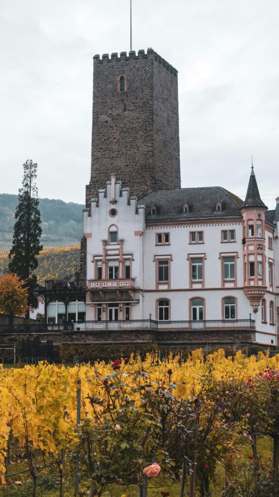 Autumnal Castle Tower in Vineyard Landscape Mobile Wallpaper