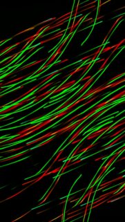 Neon Red and Green Light Trails Motion Abstract Phone Wallpaper