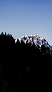 Majestic Snowy Mountain Peak Above Dark Forest Silhouette Wallpaper