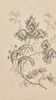 Vintage Botanical Illustration Floral Sketch Mobile Wallpaper