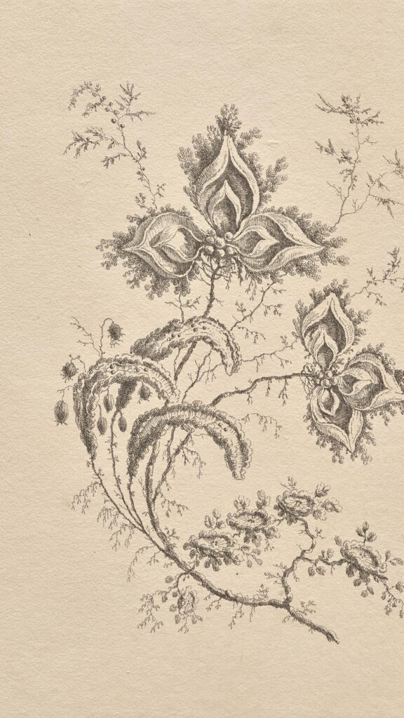 Vintage Botanical Illustration Floral Sketch Mobile Wallpaper