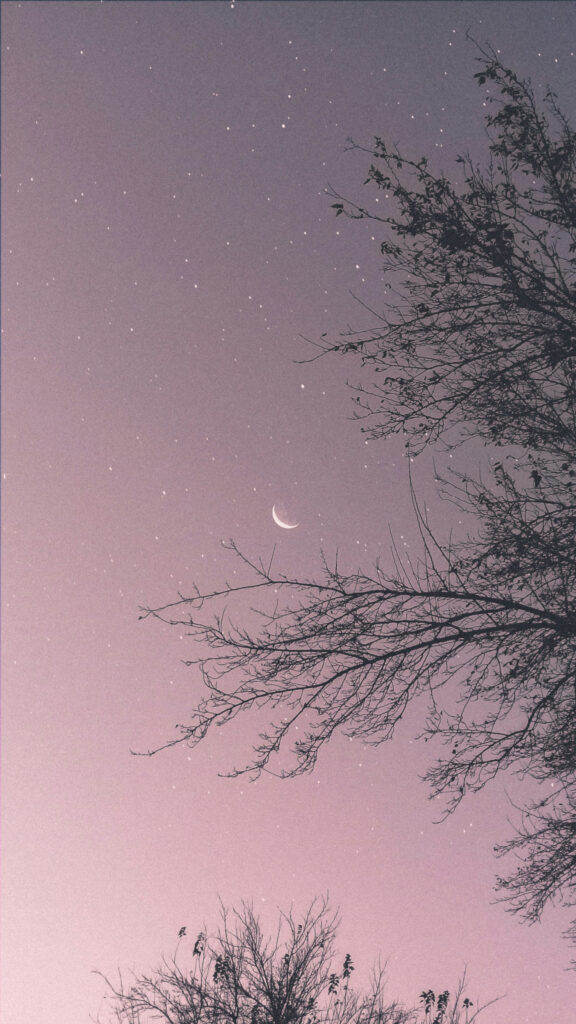 Minimalist Crescent Moon Night Sky Spiritual Aesthetic Phone Wallpaper