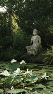 Zen Garden Buddha Meditation Spiritual Energy Phone Wallpaper