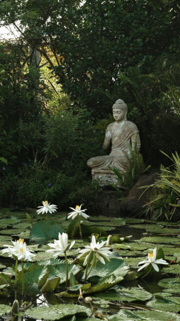 Zen Garden Buddha Meditation Spiritual Energy Phone Wallpaper
