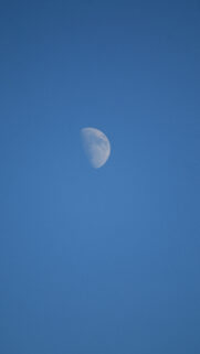 First Quarter Moon Phase Spiritual Energy Aesthetic Phone Wallpaper