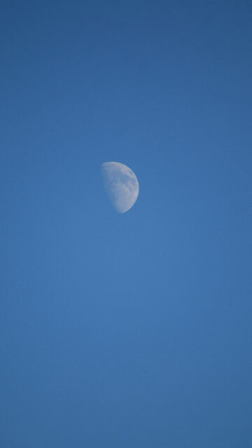 First Quarter Moon Phase Spiritual Energy Aesthetic Phone Wallpaper