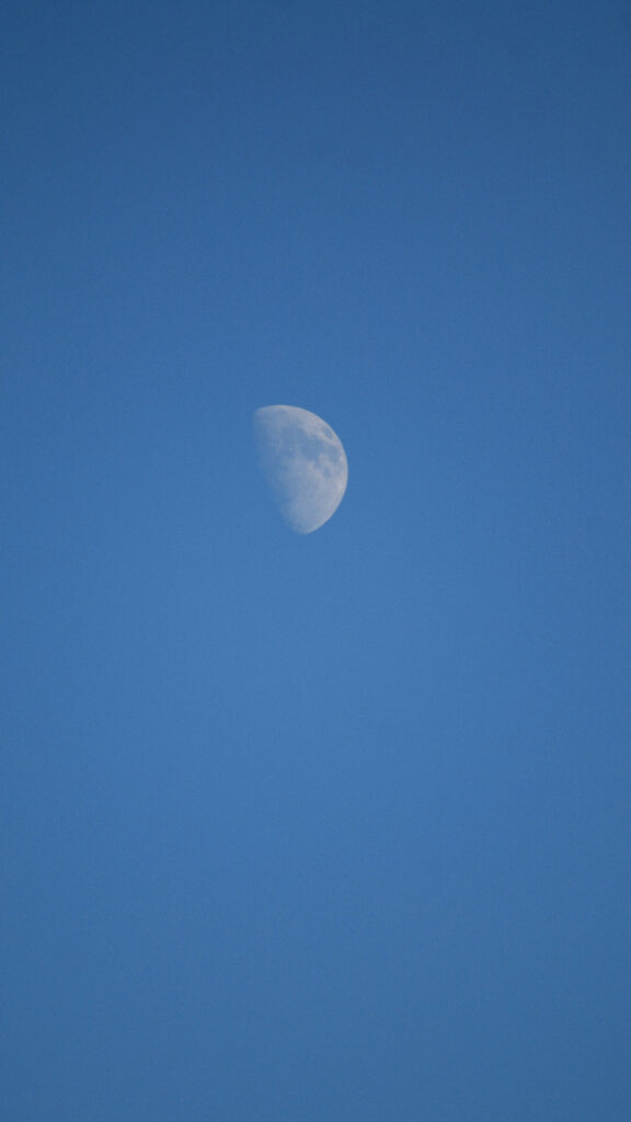 First Quarter Moon Phase Spiritual Energy Aesthetic Phone Wallpaper
