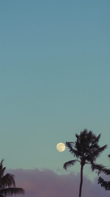 Full Moon Energy and Lunar Manifestation Spiritual Desktop Wallpaper