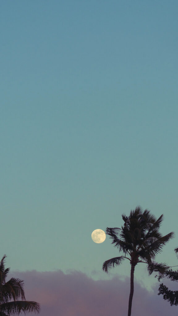 Full Moon Energy and Lunar Manifestation Spiritual Desktop Wallpaper