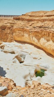 Breathtaking Negev Desert Canyon Oasis Mobile Wallpaper