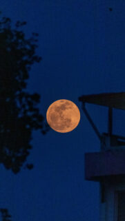 Orange Full Moon Spiritual Energy and Lunar Manifestation Wallpaper