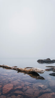Pisces Ethereal Water Meditation and Zodiac Connection Wallpaper