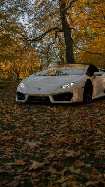 White Lamborghini Huracan Spyder in Autumn Forest Phone Wallpaper