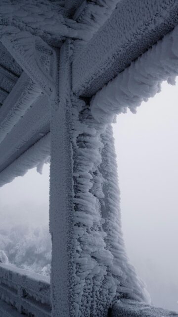 Stunning Rime Ice Covered Pillar in Winter Mist Mobile Wallpaper