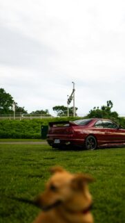 Stunning Deep Red Nissan Skyline R33 JDM Phone Wallpaper