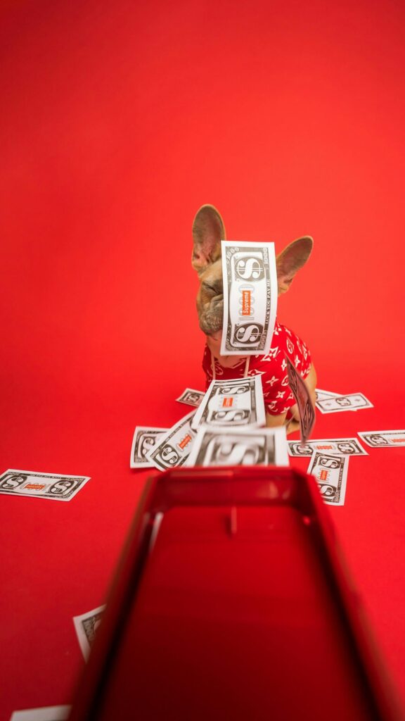 Funny French Bulldog With Money Gun Red Aesthetic Mobile Wallpaper