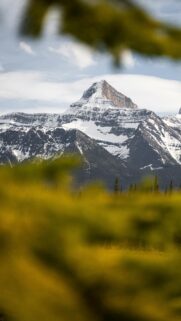 Snow-Capped Canadian Rocky Mountain Peak Phone Wallpaper