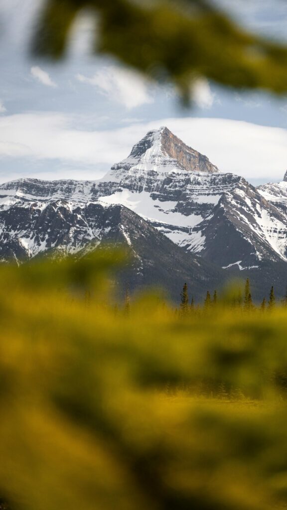 Snow-Capped Canadian Rocky Mountain Peak Phone Wallpaper