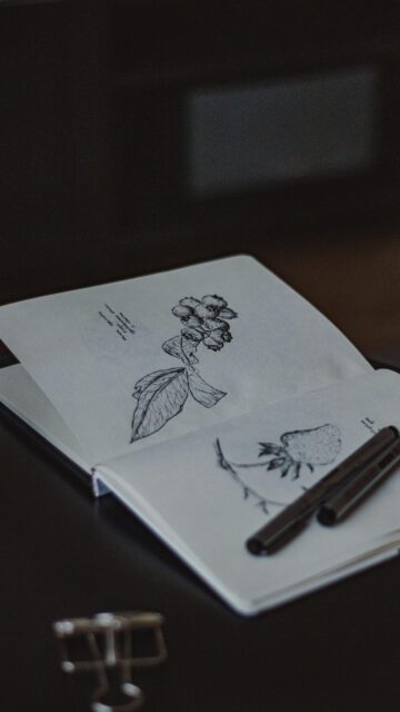 Minimalist Botanical Ink Sketch Art on Open Sketchbook Mobile Wallpaper