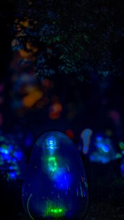 Mystical Glowing Blue Garden Sphere Fantasy Phone Wallpaper