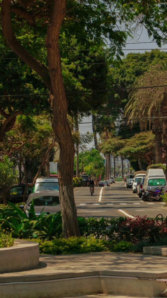 Serene Tree-Lined Urban Street Cycling Scene Mobile Wallpaper