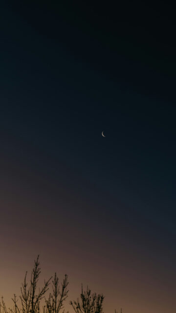 Crescent Moon Cancer Zodiac Sign Aesthetic Spiritual Energy Wallpaper
