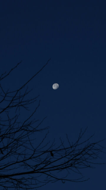 Waxing Gibbous Moon Celestial Energy Aesthetic Phone Wallpaper