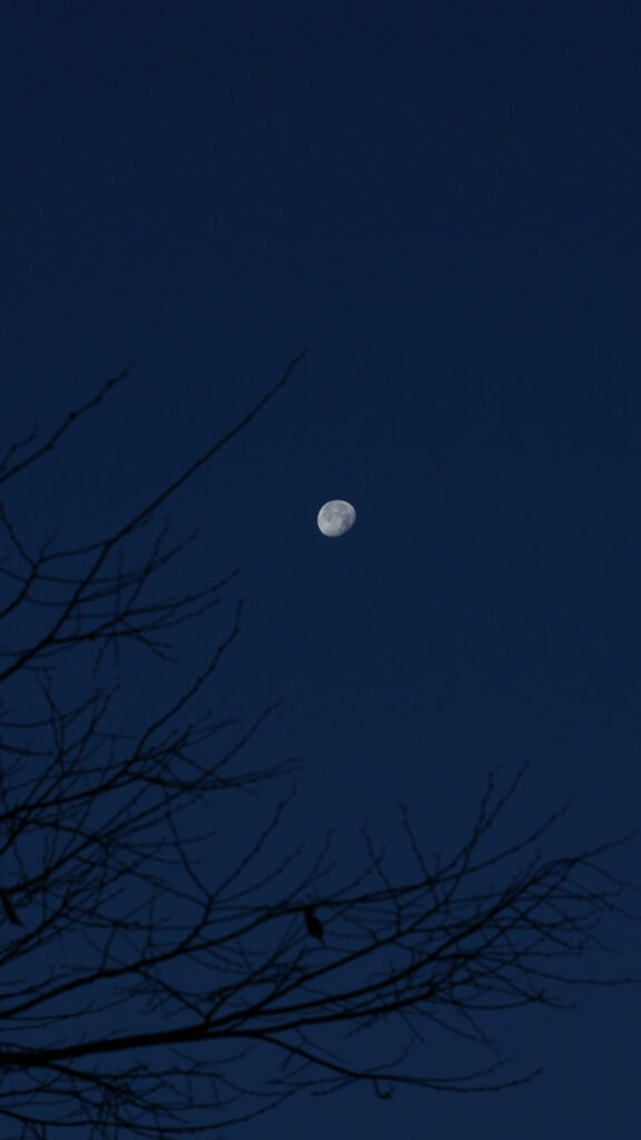 Waxing Gibbous Moon Celestial Energy Aesthetic Phone Wallpaper