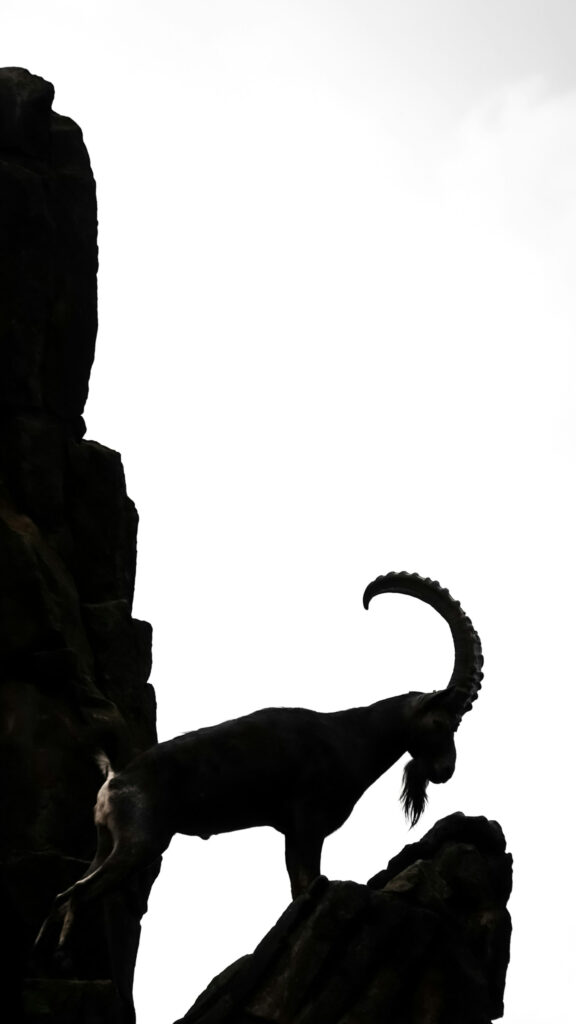 Majestic Capricorn Zodiac Mountain Goat Minimalist Ambition Wallpaper