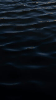 Mystical Scorpio Dark Water Zodiac Element Aesthetics Wallpaper