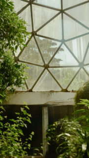 Virgo Earth Sign Botanical Greenhouse Astrology and Manifestation Wallpaper