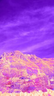 Surreal Purple Mountain Landscape and Forest Mobile Phone Wallpaper