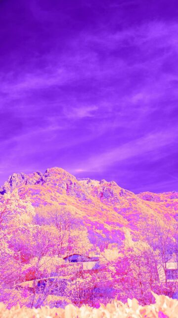 Surreal Purple Mountain Landscape and Forest Mobile Phone Wallpaper