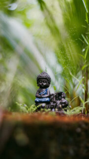 Serene Zen Buddha Meditation Energy for Mindfulness Phone Wallpaper