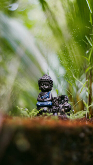 Serene Zen Buddha Meditation Energy for Mindfulness Phone Wallpaper
