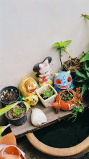 Cute Kawaii Ceramic Character Planters and Succulents Desktop Wallpaper