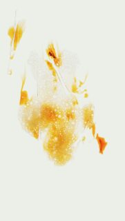 Abstract Gold Amber Bubble Liquid Texture Minimalist Phone Wallpaper