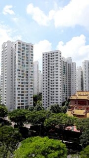 Stunning Singapore Urban Skyline and Traditional Temple Architecture Wallpaper