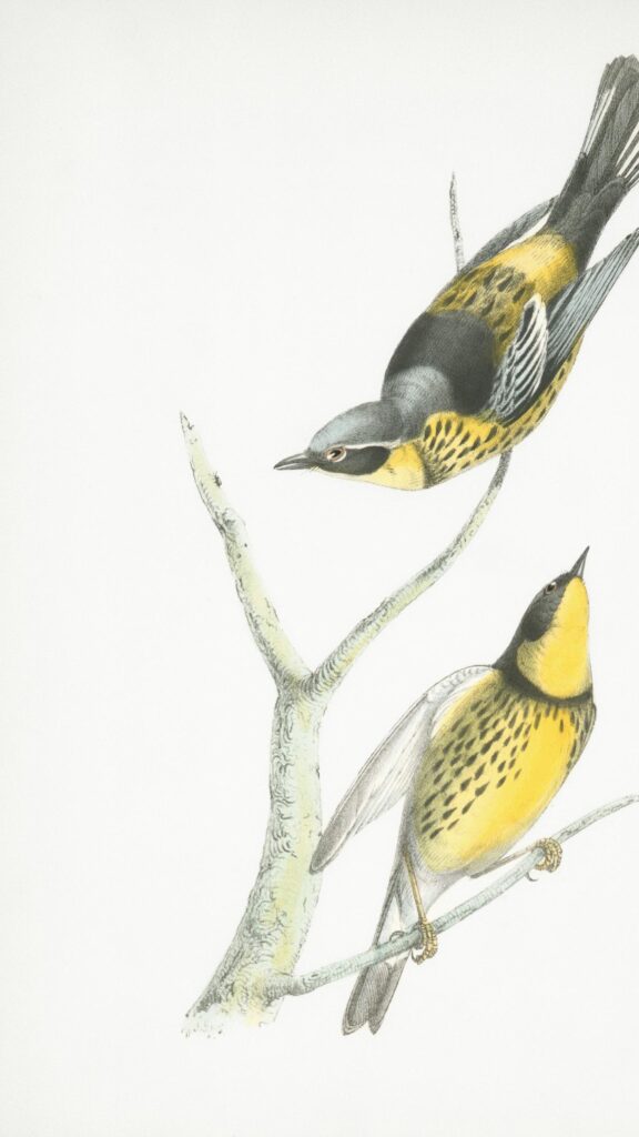 Vintage Hand-Painted Yellow and Black Warbler Birds Illustration Wallpaper