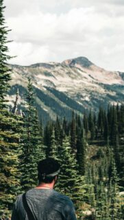 Man Looking at Majestic Mountain Forest Peak Mobile Wallpaper